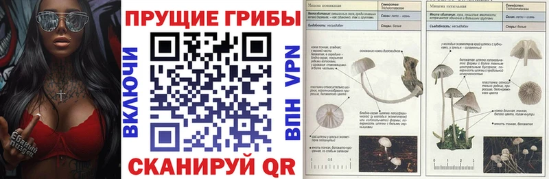 Галлюциногенные грибы мухоморы  как найти закладки  Алдан 